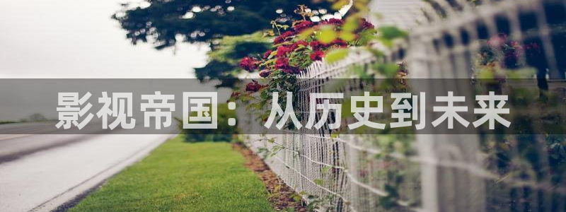 最新国产久久视频：影视帝国：从历史到未来