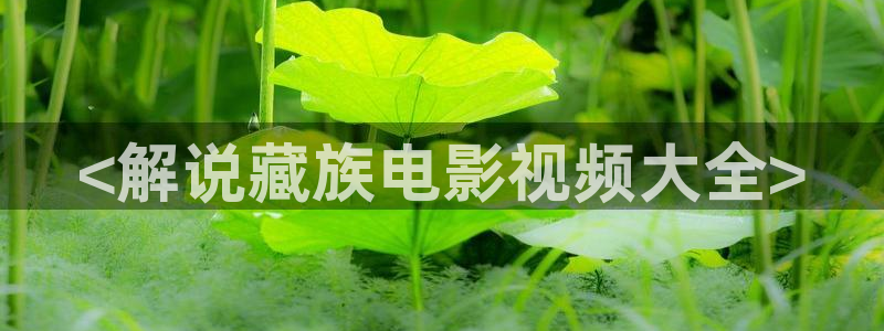 久久久综合影院：<解说藏族电影视频大全>