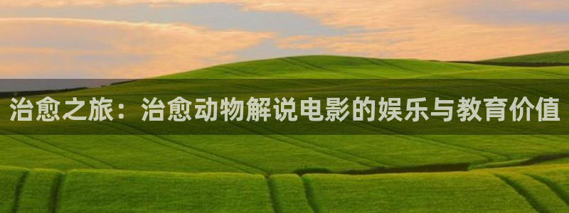 久久久久久久精品视频