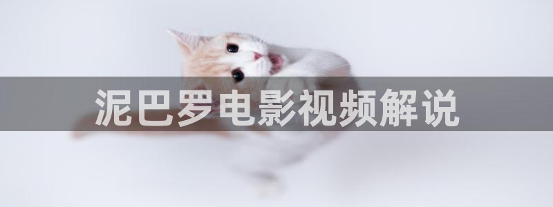 午夜理伦片久久久久：泥巴罗电影视频解说