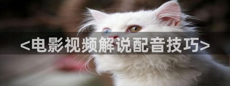 精品久久久久久久电影